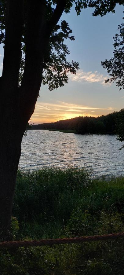 Domek Letniskowy U Marcina I Ani Borsk Exterior foto